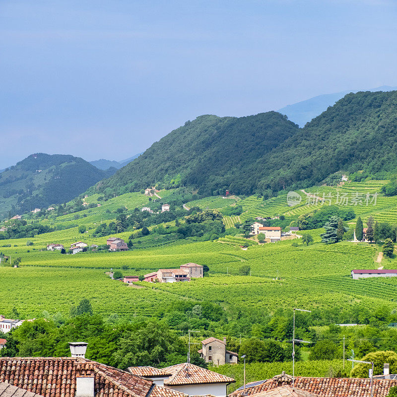 Prosecco Hills of Conegliano and valdovadene(意大利威尼托)